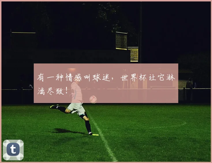 有一种情感叫球迷，世界杯让它淋漓尽致！